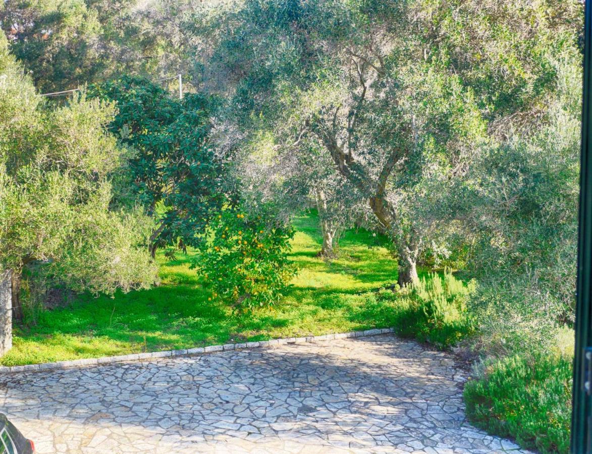 Villa Afionas - 3 Minutes From The Beach With Heated Eco-Pool And Sunset View Exteriér fotografie